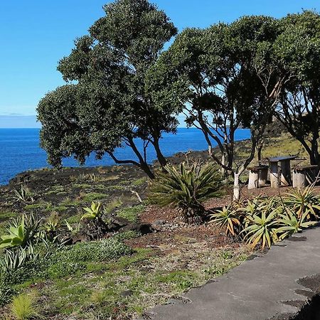 Casa D'Avo Francisco Guest House Madalena  Bagian luar foto