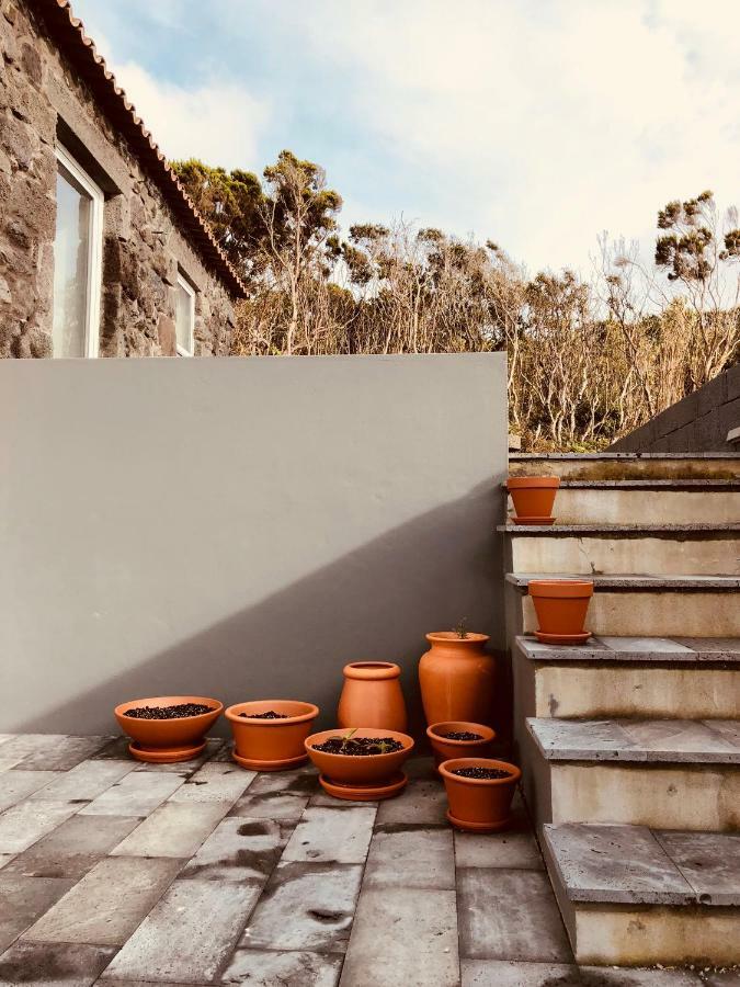 Casa D'Avo Francisco Guest House Madalena  Bagian luar foto